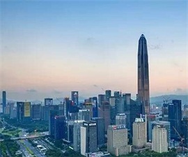 深圳市东风南方汽车进出口有限公司